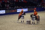Quadrille - 00084